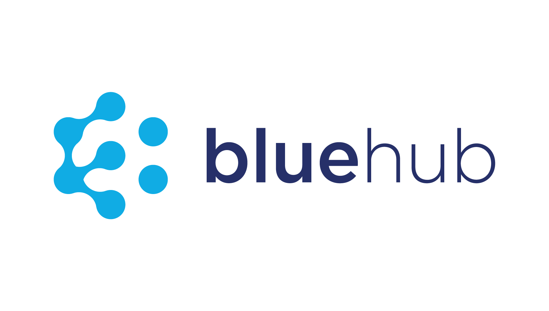 BlueHub_Logo_Final_RGB_Colour[402818]